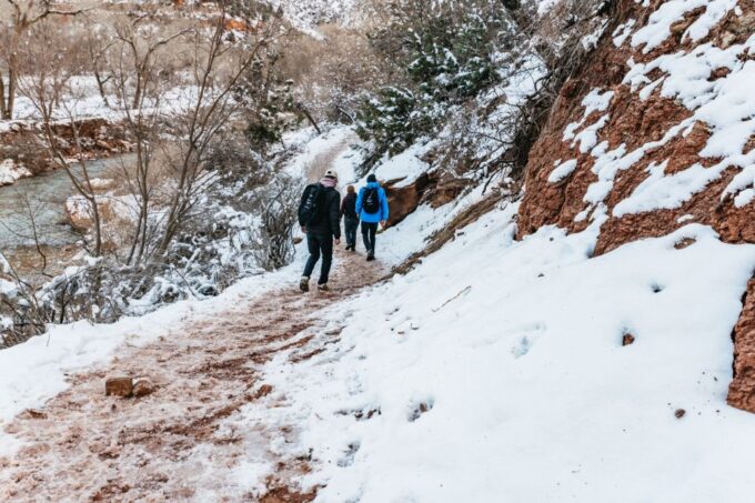 From Springdale: 4-hour Zion Canyon Scenic Hiking Tour - Zion Canyon Scenic Hiking Tour