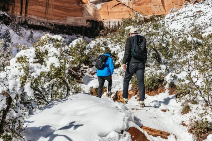 From Springdale: 4-hour Zion Canyon Scenic Hiking Tour - Frequently Asked Questions