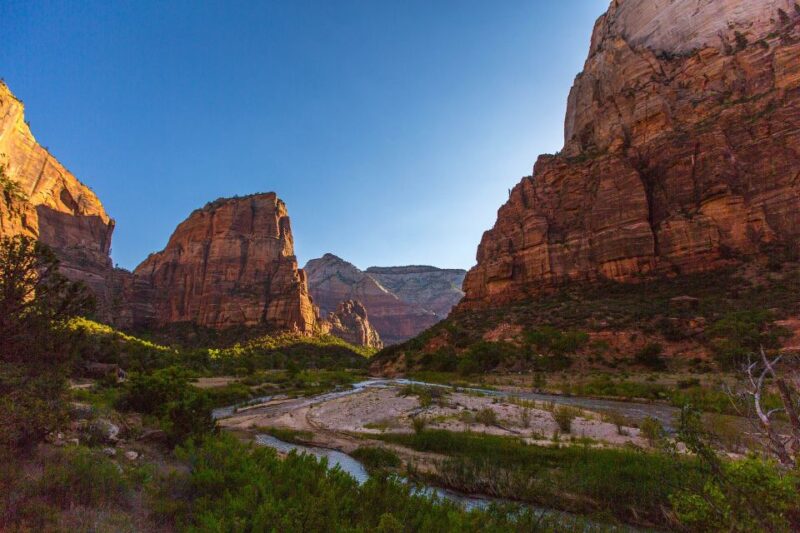 From Springdale: Greater Zion Scenic Hiking Tour - Experience Highlights