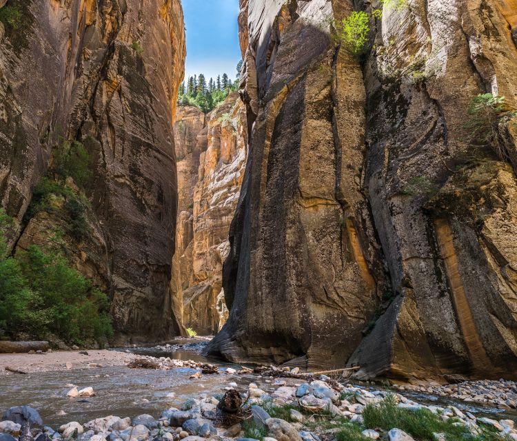 From Springdale: the Zion Narrows Hike With Lunch - Itinerary and Highlights