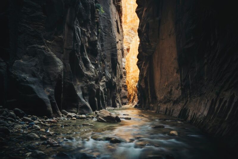 From Springdale: the Zion Narrows Hike With Lunch - Customization and Group Skill