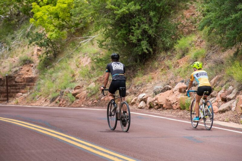 From Springdale: Zion National Park Bike Tour - Experience Highlights