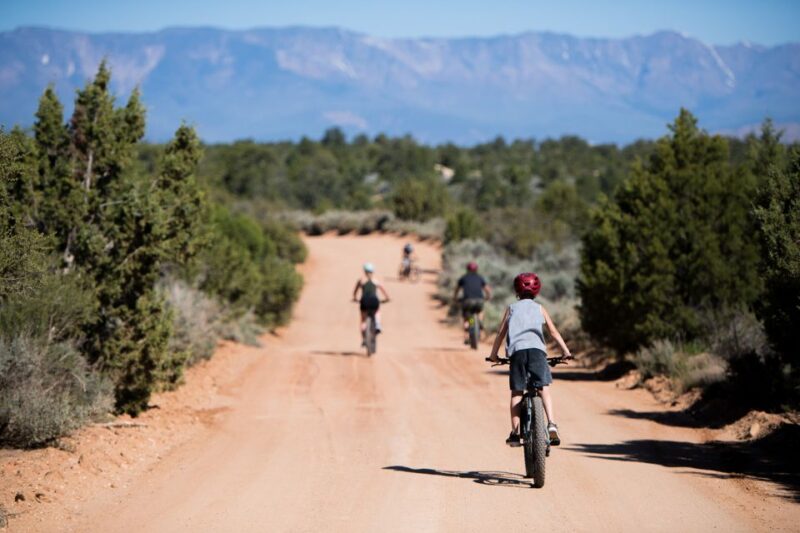 From Springdale: Zion National Park Bike Tour - Cycling Routes and Options