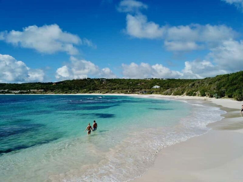 From St John's: Half Moon Bay Beach Half-Day Trip by Van - Key Points
