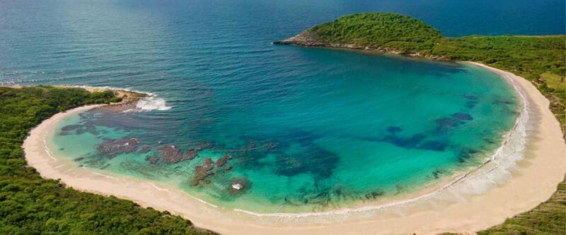 From St John's: Half Moon Bay Beach Half-Day Trip by Van - The Experience in Detail