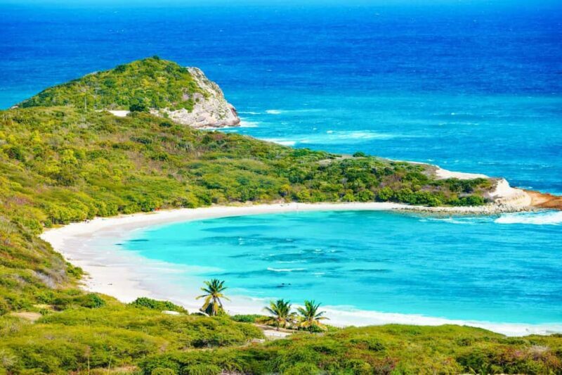 From St John's: Half Moon Bay Beach Half-Day Trip by Van - Who Will Enjoy This Tour?