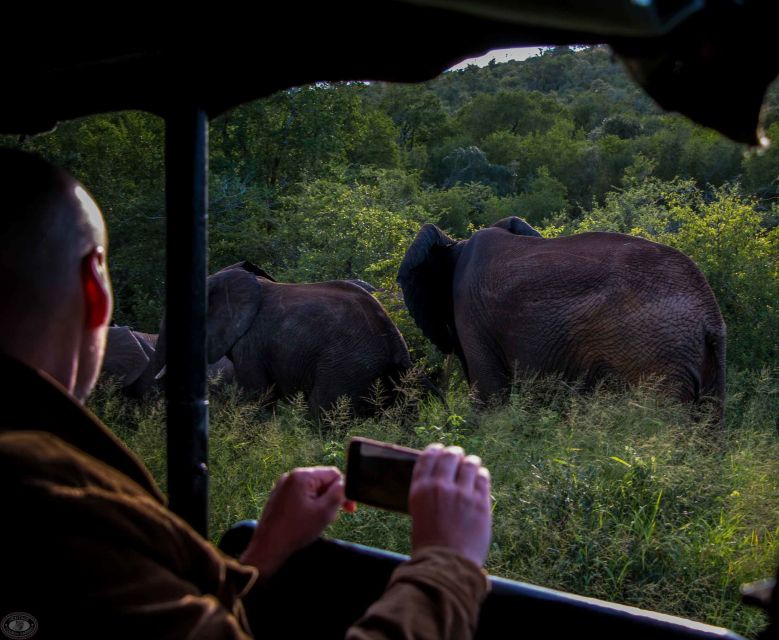 From St Lucia: Isimangaliso Wetland Park Night Drive Safari - Nocturnal Species Sightings