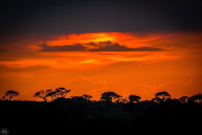 From St Lucia: Isimangaliso Wetland Park Night Drive Safari - Frequently Asked Questions