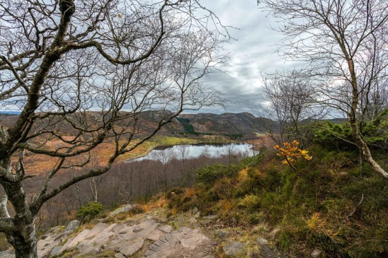 From Stavanger: Guided Tour to Månafossen and Dalsnuten - Dalsnuten Exploration