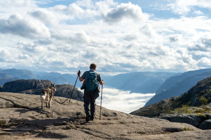 From Stavanger: Pulpit Rock Guided Hike With Pickup - Key Points
