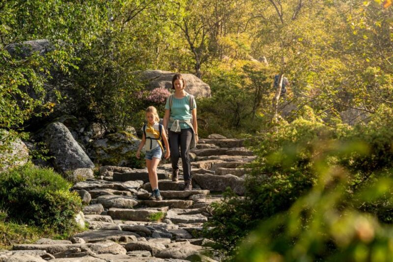 From Stavanger: Pulpit Rock Guided Hike With Pickup - Transportation and Pickup