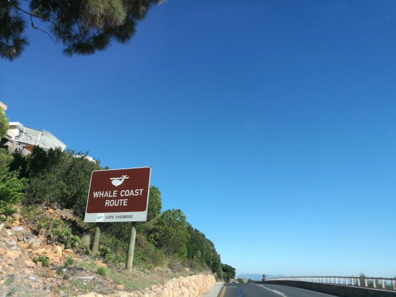 From Stellenbosch: Hermanus Whale Route Tour - Key Points