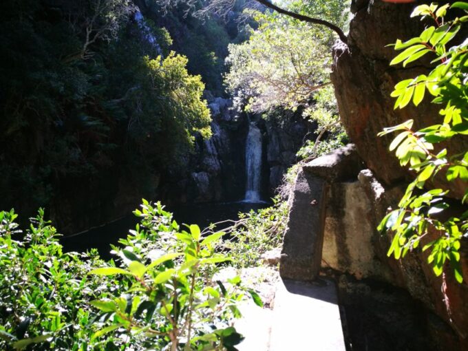 From Stellenbosch: Hermanus Whale Route Tour - Frequently Asked Questions