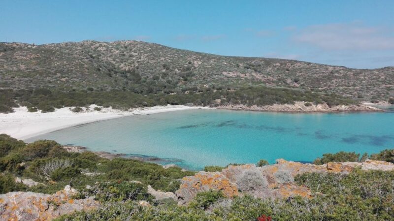 From Stintino: Asinara National Park Guided Tour by Minivan - Key Points