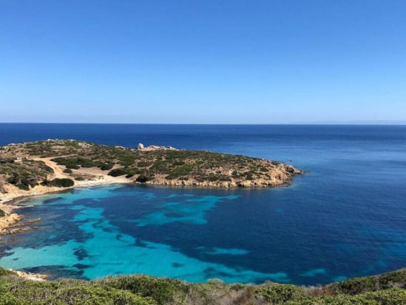 From Stintino: Asinara National Park Guided Tour by Minivan - Itinerary Highlights