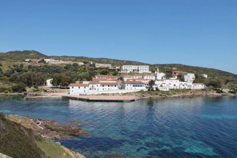From Stintino: Asinara National Park Guided Tour by Minivan - Wildlife Observation