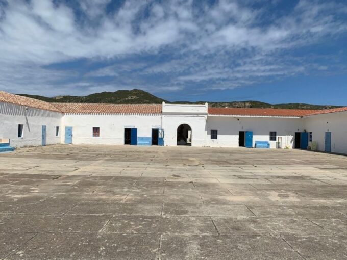 From Stintino: Asinara National Park Guided Tour by Minivan - Guided Experience