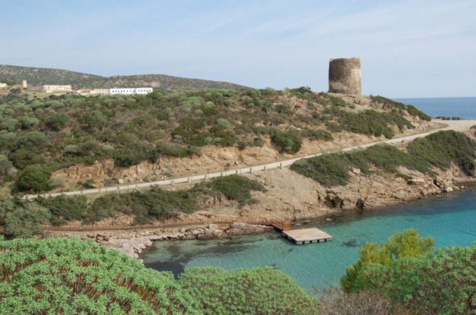 From Stintino: Asinara National Park Guided Tour by Minivan - Important Considerations