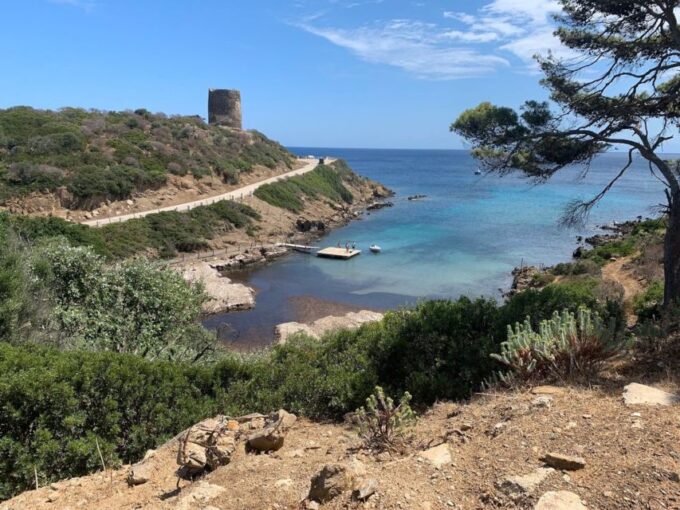 From Stintino: Asinara National Park Guided Tour by Minivan - Traveler Feedback