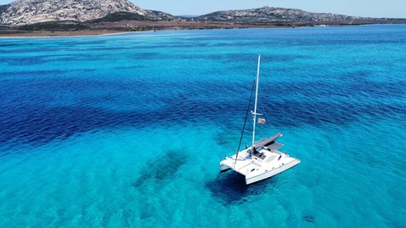 From Stintino: Catamaran Tour to Asinara Island - Key Points