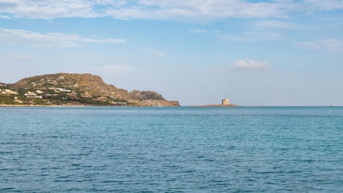 From Stintino: Catamaran Tour to Asinara Island - Booking and Cancellation