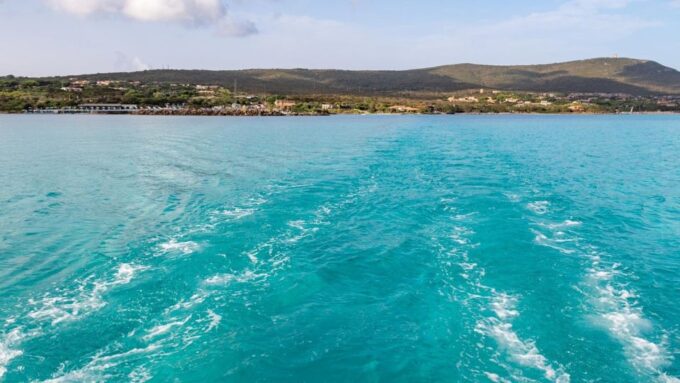 From Stintino: Catamaran Tour to Asinara Island - Meeting Point