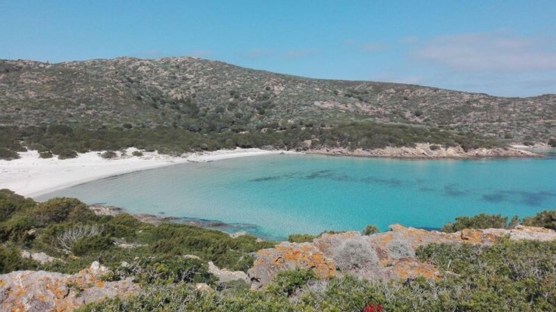 From Stintino: Off-Road Tour to Asinara - Key Points