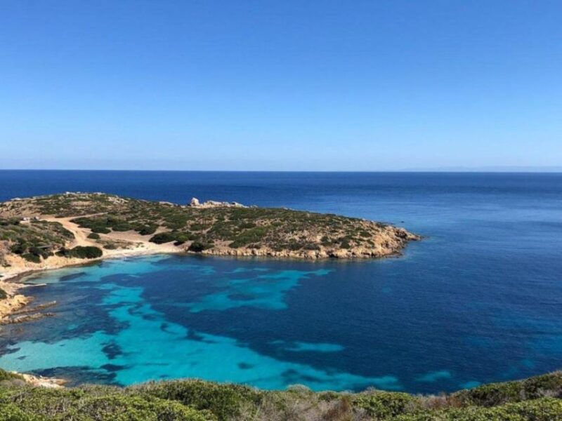 From Stintino: Off-Road Tour to Asinara - Experience & Wildlife