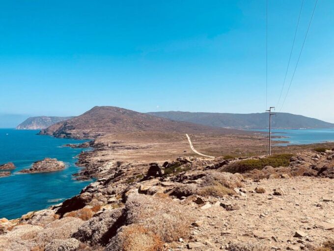 From Stintino: Off-Road Tour to Asinara - Tour Duration and Price