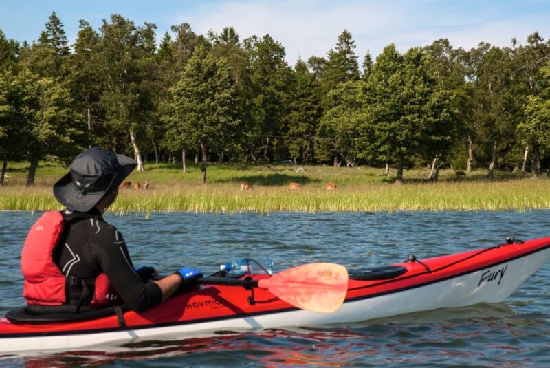 From Stockholm: 3-Day Stockholm Archipelago Kayak Tour - Included Services