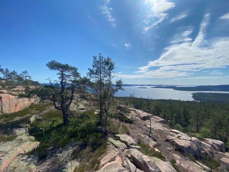 From Stockholm: 4-Day Hiking Trip in Central Sweden - Group Size and Languages