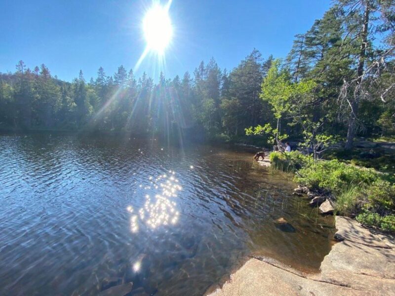 From Stockholm: 4-Day Hiking Trip in Central Sweden - Cancellation Policy