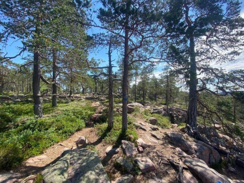 From Stockholm: 4-Day Hiking Trip in Central Sweden - Food and Accommodation