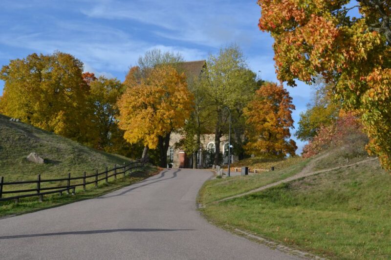 From Stockholm: Uppsala and Sigtuna Viking Sites Tour - Visiting Gamla Uppsala