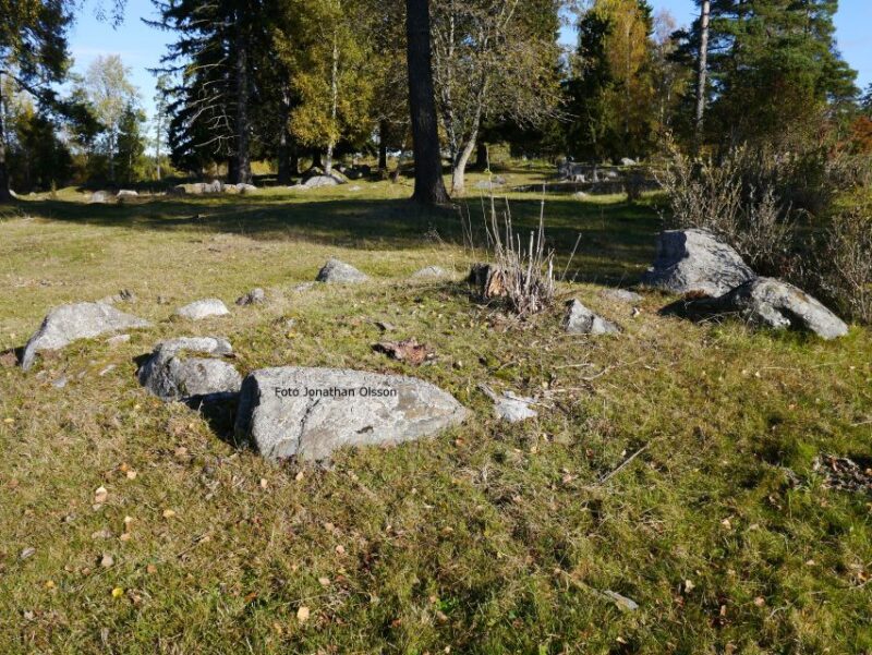 From Stockholm: Viking Culture and Heritage Small Group Tour - Customer Reviews and Ratings