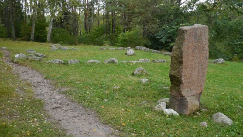 From Stockholm: Viking Culture Guided Tour With Transfer - Preparation and Recommendations