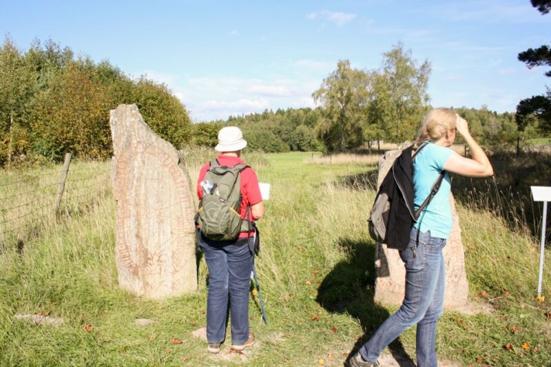 From Stockholm: Viking History Tour to Sigtuna and Uppsala - Experience and Historical Significance
