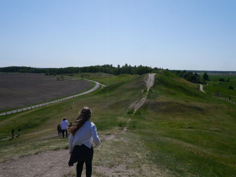 From Stockholm: Viking History Tour to Sigtuna and Uppsala - Customer Reviews and Ratings