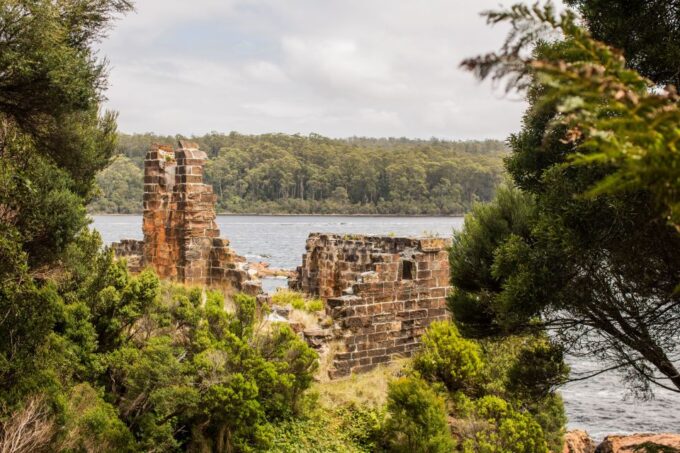 From Strahan: Evening Dinner Cruise on the Gordon River - Additional Cruise Details