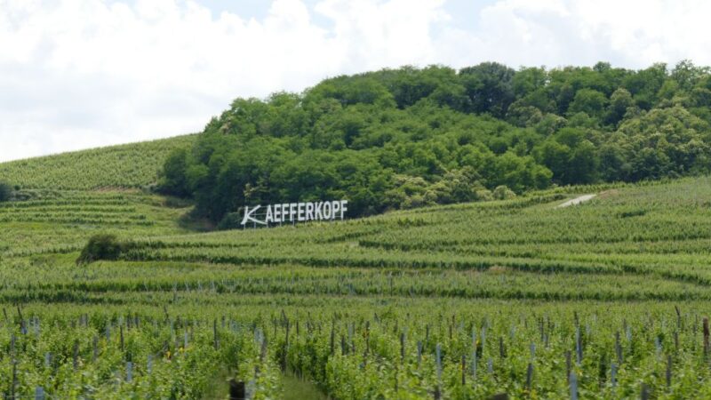 From Strasbourg: Best Of Alsace Historical Day Trip - Picturesque Alsace Wine Route