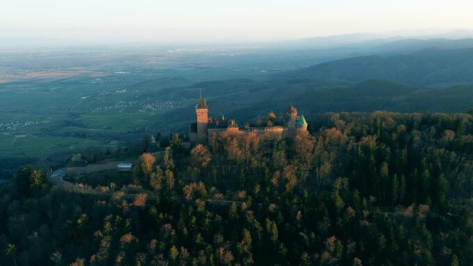 From Strasbourg: Colmar, Riquewihr, & Eguisheim Day Trip - Customer Reviews and Testimonials