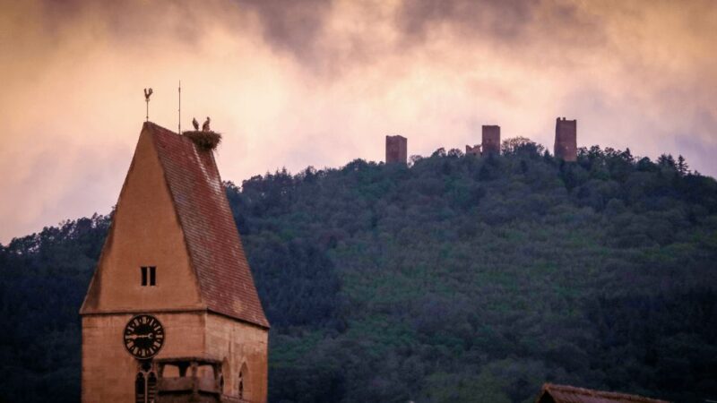 From Strasbourg: Discover Colmar and the Alsace Wine Route - Exploring Alsaces Capital of Wines