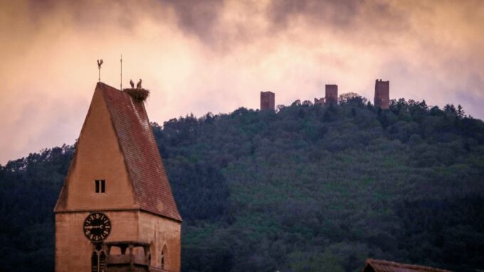 From Strasbourg: Discover Colmar and the Alsace Wine Route - Frequently Asked Questions