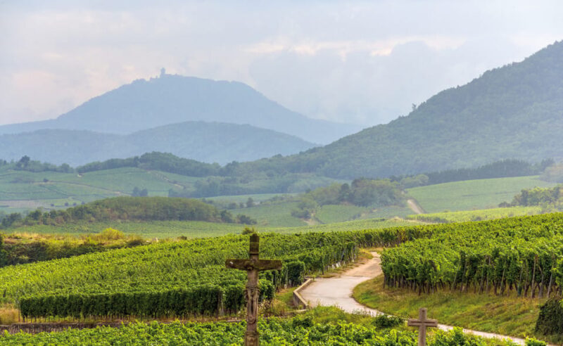 From Strasbourg: Full-Day Highlights of the Alsace Tour - Customer Reviews and Ratings