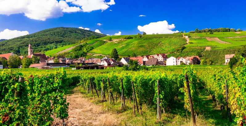 From Strasbourg: Half-Day Tour of Alsace Villages - Tour Highlights and Activities