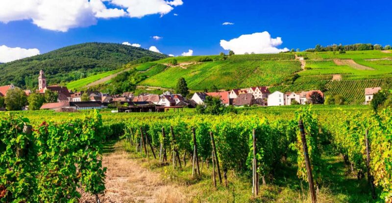From Strasbourg: Half-Day Tour of Alsace Villages - Transportation and Inclusions