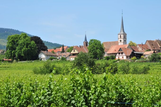 From Strasbourg: Half-Day Tour of Alsace Villages - Exploring Alsace Wine Route