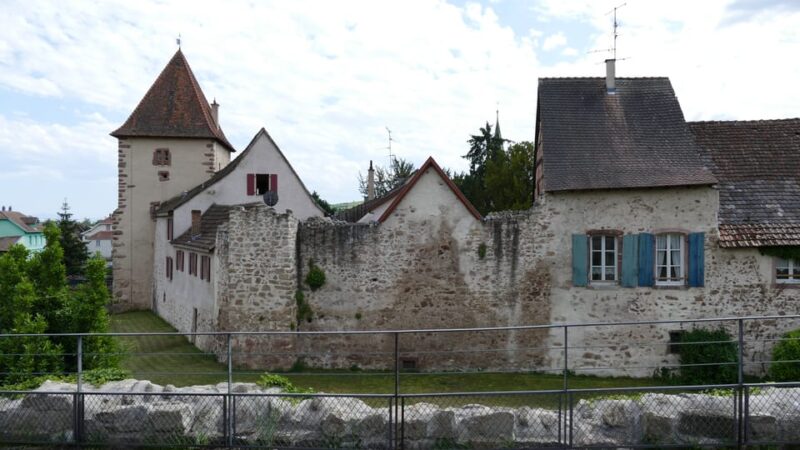 From Strasbourg: Medieval Villages & Wine Tasting Day Trip - Important Information