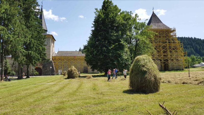 From Suceava: Painted Monasteries of Bucovina Day Trip - Key Points