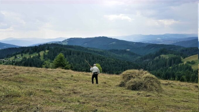 From Suceava: Painted Monasteries of Bucovina Day Trip - Tour Inclusions